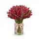 Bouquet of 75 raspberry tulips (imported, Netherlands)