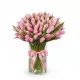 Bouquet of 75 pink tulips (imported, Netherlands)