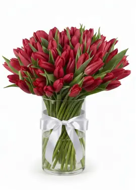 Bouquet of 75 red tulips (imported, Netherlands)