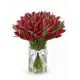 Bouquet of 75 red tulips (imported, Netherlands)
