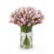 Bouquet of 75 tender tulips (imported, Netherlands)
