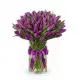 Bouquet of 75 violet tulips (imported, Netherlands)