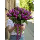 Bouquet of 75 violet tulips (imported, Netherlands)