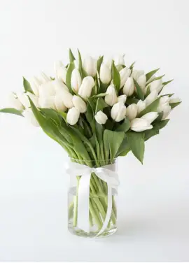 Bouquet of 75 white tulips (imported, Netherlands)