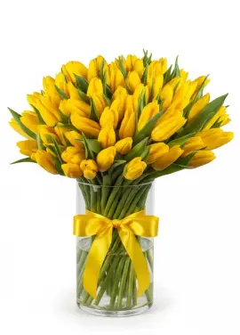 Bouquet of 75 yellow tulips (imported, Netherlands)