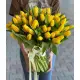 Bouquet of 75 yellow tulips (imported, Netherlands)