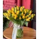 Bouquet of 75 yellow tulips (imported, Netherlands)