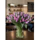 Bouquet of 75 lilac tulips (imported, Netherlands)