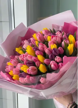 Bouquet of 75 mixed tulips (imported, Netherlands)