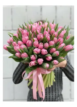 Bouquet of 75 pink tulips (imported, Netherlands)