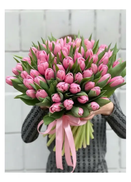 Bouquet of 75 pink tulips (imported, Netherlands)