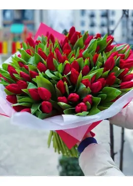 Bouquet of 75 red tulips (imported, Netherlands)