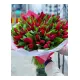Bouquet of 75 red tulips (imported, Netherlands)
