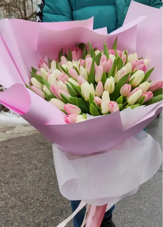 Bouquet of 75 tender tulips (imported, Netherlands)