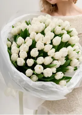 Bouquet of 75 white tulips (imported, Netherlands)