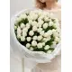 Bouquet of 75 white tulips (imported, Netherlands)