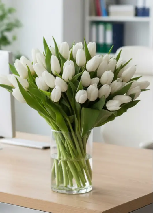 Bouquet of 75 white tulips (imported, Netherlands)