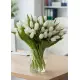 Bouquet of 75 white tulips (imported, Netherlands)