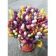 Bouquet of mix tulips Bouquet of mix tulips