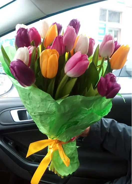 Bouquet of mix tulips Bouquet of mix tulips