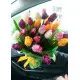 Bouquet of mix tulips Bouquet of mix tulips