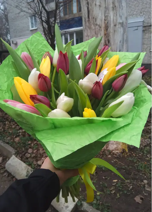 Bouquet of mix tulips Bouquet of mix tulips