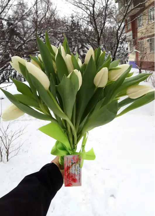 Bouquet white tulips