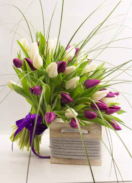 Bouquet of colorful tulips Bouquet of colorful tulips