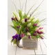 Bouquet of colorful tulips Bouquet of colorful tulips