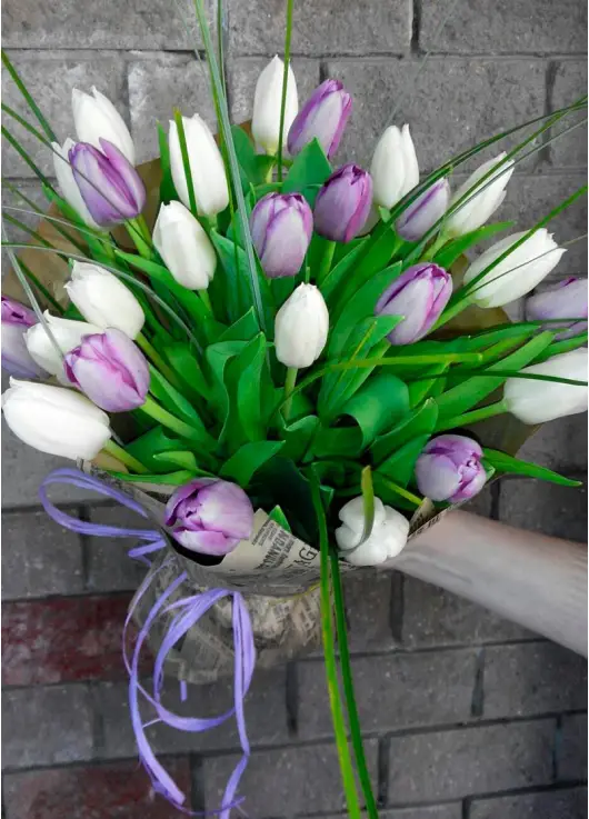 Bouquet of colorful tulips Bouquet of colorful tulips