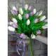 Bouquet of colorful tulips Bouquet of colorful tulips