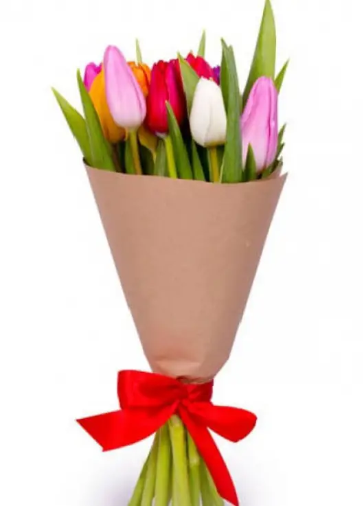 Bouquet of tulips