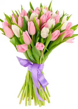 Bouquet white and pink tulips