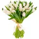 Bouquet white tulips