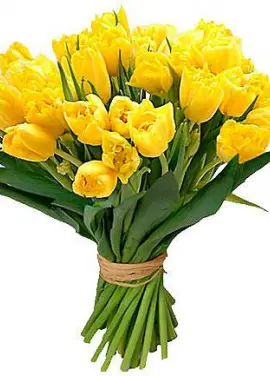 Bouquet yellow tulips