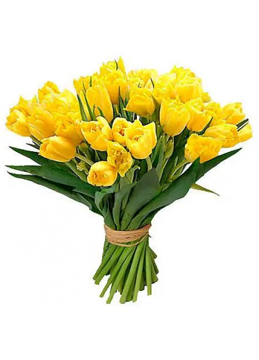 Bouquet yellow tulips