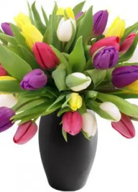 Bouquet of mix tulips