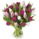 Bouquet of colorful tulips Bouquet of colorful tulips