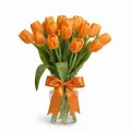 Orange tulips