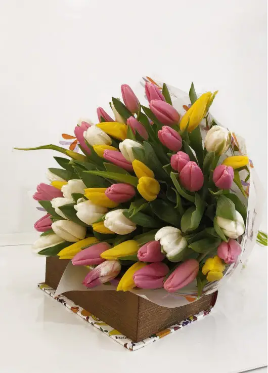 Bouquet of mix tulips