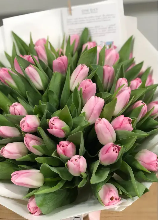 Bouquet  pink tulips