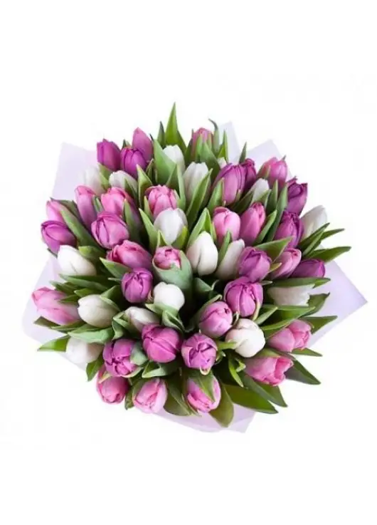 Bouquet of colorful tulips Bouquet of colorful tulips
