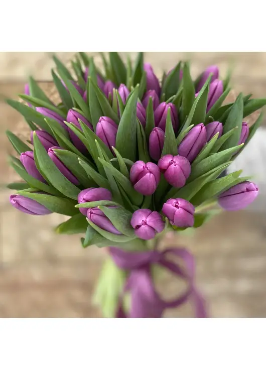 Bouquet of tulips
