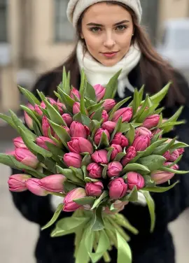 51 purple tulip 