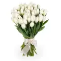 White tulips