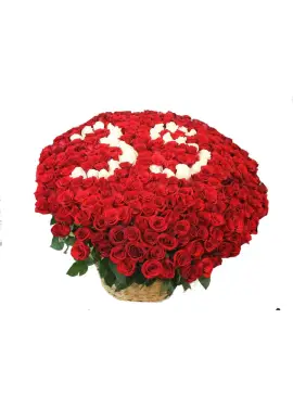 Numbers for Birthday or Anniversary