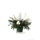 Christmas box with flowers and trees
