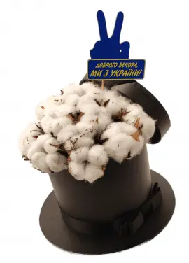 You are my cotton! 