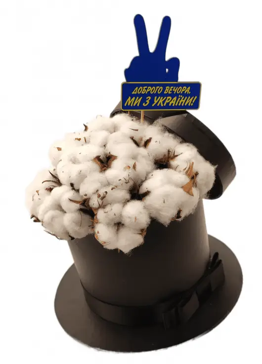 You are my cotton! 