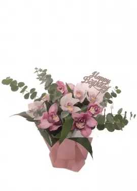 Orchids in a hat box